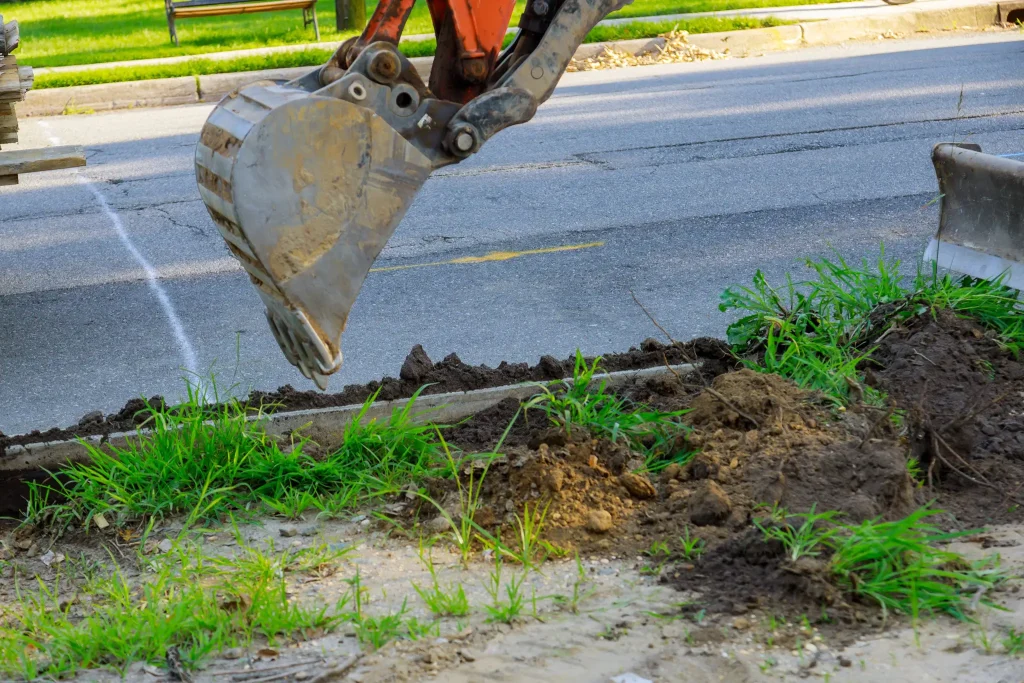 Tree Root Removal Services Preventative Measures and Maintenance
